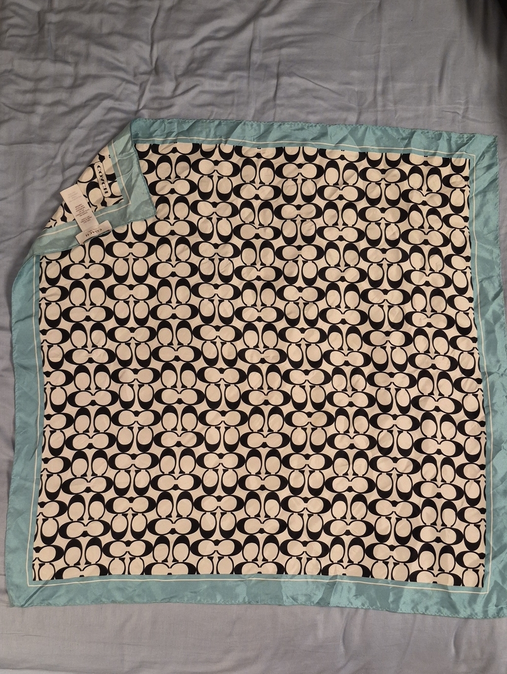Coach Black & White Signature Silk Scarf with Mint Border